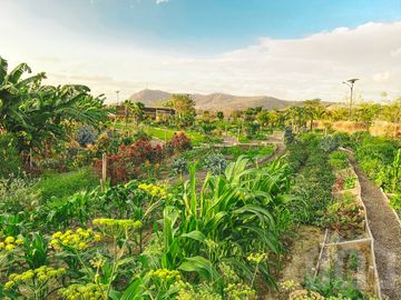 SE VENDEN CASAS EN PUERTO CAYO MANABÍ