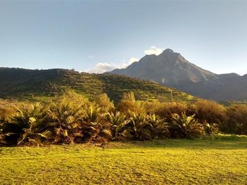 Parcela en Venta en Hijuelas