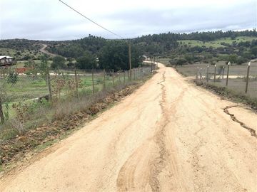 Parcela en Venta en Parcela en venta en Litueche