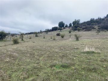 Parcela en Venta en Parcela en venta en Litueche