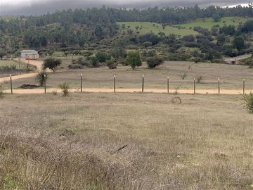 Parcela en Venta en Parcela en venta en Litueche