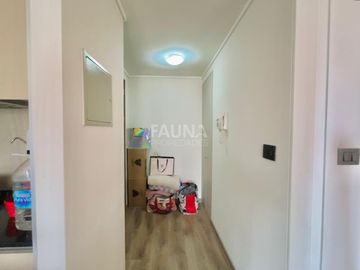 SAZIE 2565