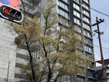 Departamento en venta en Col. Roma