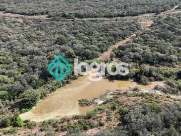 Finca de 1000 has. en venta en El Galpón, Provincia de Salta, Sobre RN 16