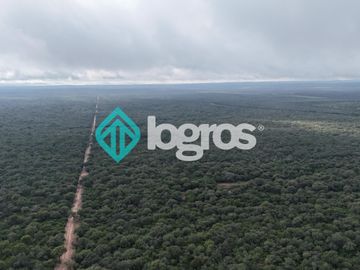 Finca de 1000 has. en venta en El Galpón, Provincia de Salta, Sobre RN 16