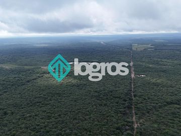 Finca de 1000 has. en venta en El Galpón, Provincia de Salta, Sobre RN 16