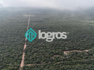 Finca de 1000 has. en venta en El Galpón, Provincia de Salta, Sobre RN 16