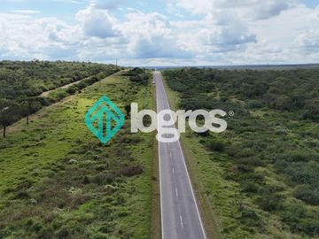 Finca de 1000 has. en venta en El Galpón, Provincia de Salta, Sobre RN 16