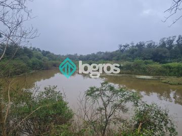 Finca de 1000 has. en venta en El Galpón, Provincia de Salta, Sobre RN 16