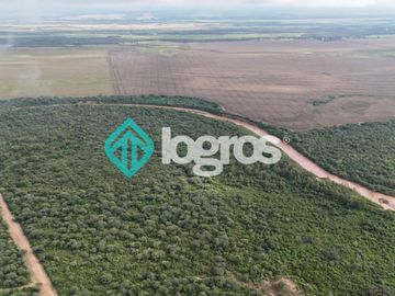 Finca de 1000 has. en venta en El Galpón, Provincia de Salta, Sobre RN 16