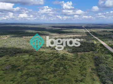 Finca de 1000 has. en venta en El Galpón, Provincia de Salta, Sobre RN 16