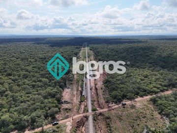 Finca de 1000 has. en venta en El Galpón, Provincia de Salta, Sobre RN 16