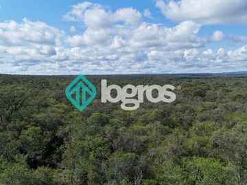 Finca de 1000 has. en venta en El Galpón, Provincia de Salta, Sobre RN 16