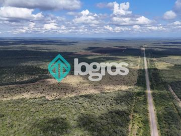 Finca de 1000 has. en venta en El Galpón, Provincia de Salta, Sobre RN 16