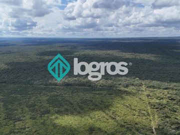 Finca de 1000 has. en venta en El Galpón, Provincia de Salta, Sobre RN 16