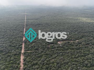 Finca de 1000 has. en venta en El Galpón, Provincia de Salta, Sobre RN 16