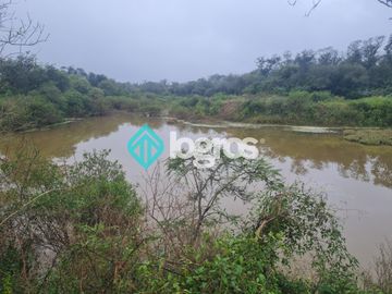 Finca de 1000 has. en venta en El Galpón, Provincia de Salta, Sobre RN 16