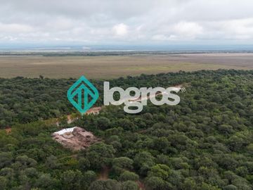 Finca de 1000 has. en venta en El Galpón, Provincia de Salta, Sobre RN 16
