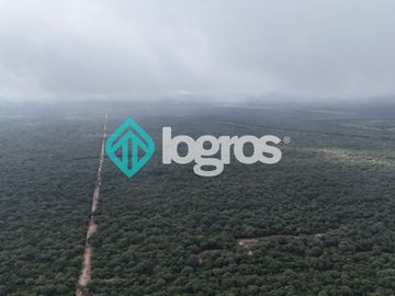 Finca de 1000 has. en venta en El Galpón, Provincia de Salta, Sobre RN 16