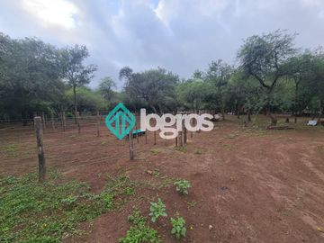 Finca de 1000 has. en venta en El Galpón, Provincia de Salta, Sobre RN 16