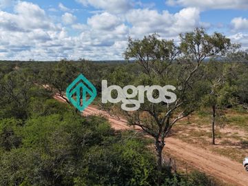 Finca de 1000 has. en venta en El Galpón, Provincia de Salta, Sobre RN 16