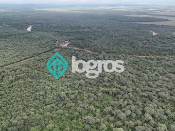 Finca de 1000 has. en venta en El Galpón, Provincia de Salta, Sobre RN 16