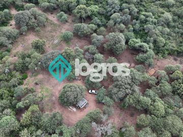 Finca de 1000 has. en venta en El Galpón, Provincia de Salta, Sobre RN 16