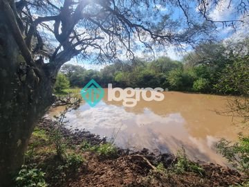 Finca de 1000 has. en venta en El Galpón, Provincia de Salta, Sobre RN 16