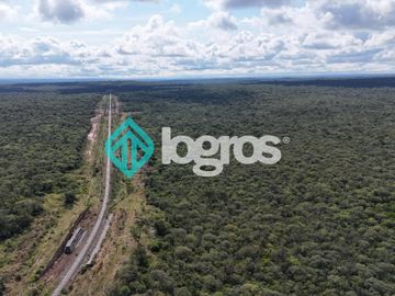 Finca de 1000 has. en venta en El Galpón, Provincia de Salta, Sobre RN 16