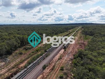 Finca de 1000 has. en venta en El Galpón, Provincia de Salta, Sobre RN 16
