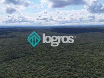 Finca de 1000 has. en venta en El Galpón, Provincia de Salta, Sobre RN 16