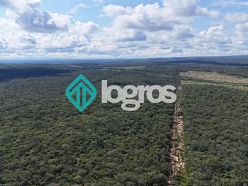 Finca de 1000 has. en venta en El Galpón, Provincia de Salta, Sobre RN 16