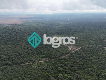 Finca de 1000 has. en venta en El Galpón, Provincia de Salta, Sobre RN 16