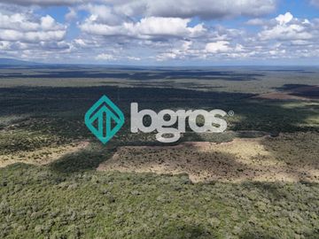 Finca de 1000 has. en venta en El Galpón, Provincia de Salta, Sobre RN 16