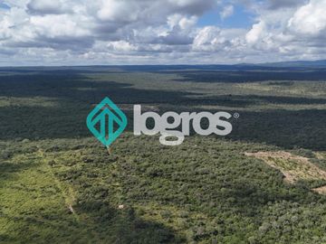 Finca de 1000 has. en venta en El Galpón, Provincia de Salta, Sobre RN 16