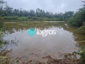 Finca de 1000 has. en venta en El Galpón, Provincia de Salta, Sobre RN 16