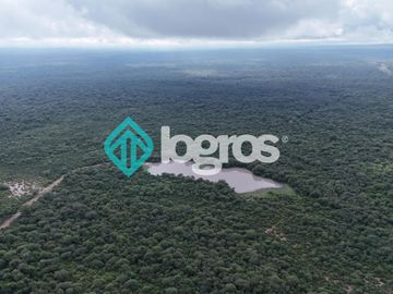 Finca de 1000 has. en venta en El Galpón, Provincia de Salta, Sobre RN 16