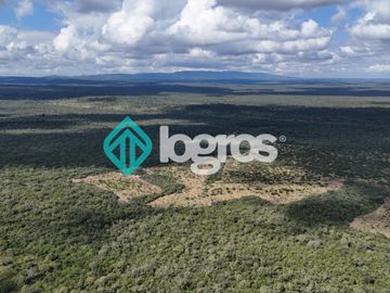 Finca de 1000 has. en venta en El Galpón, Provincia de Salta, Sobre RN 16