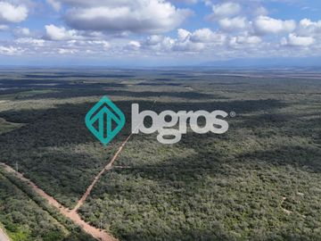 Finca de 1000 has. en venta en El Galpón, Provincia de Salta, Sobre RN 16