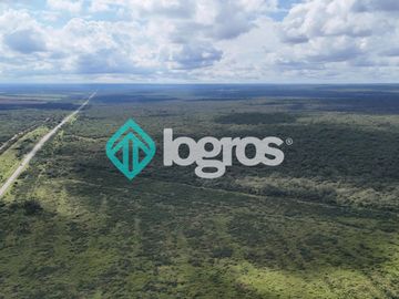 Finca de 1000 has. en venta en El Galpón, Provincia de Salta, Sobre RN 16