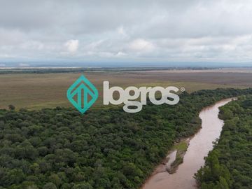 Finca de 1000 has. en venta en El Galpón, Provincia de Salta, Sobre RN 16