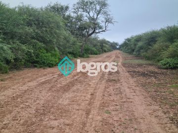 Finca de 1000 has. en venta en El Galpón, Provincia de Salta, Sobre RN 16