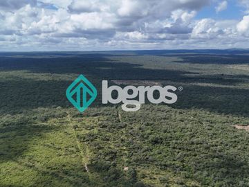 Finca de 1000 has. en venta en El Galpón, Provincia de Salta, Sobre RN 16