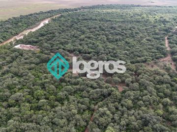 Finca de 1000 has. en venta en El Galpón, Provincia de Salta, Sobre RN 16