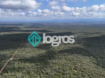 Finca de 1000 has. en venta en El Galpón, Provincia de Salta, Sobre RN 16