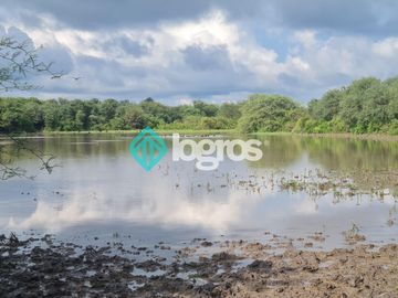 Finca de 1000 has. en venta en El Galpón, Provincia de Salta, Sobre RN 16