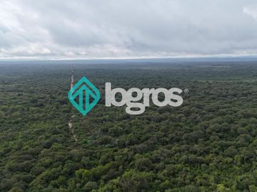 Finca de 1000 has. en venta en El Galpón, Provincia de Salta, Sobre RN 16