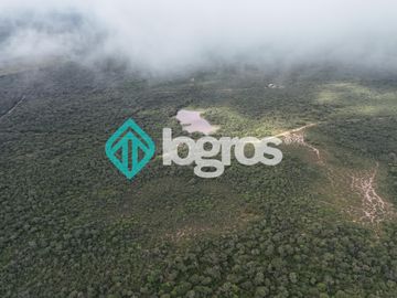 Finca de 1000 has. en venta en El Galpón, Provincia de Salta, Sobre RN 16