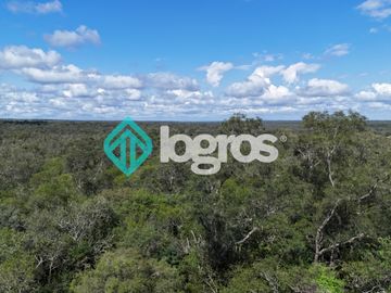 Finca de 1000 has. en venta en El Galpón, Provincia de Salta, Sobre RN 16