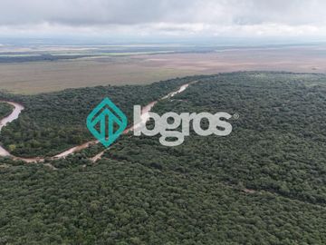 Finca de 1000 has. en venta en El Galpón, Provincia de Salta, Sobre RN 16